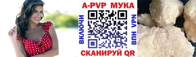 A PVP СК  Муравленко 