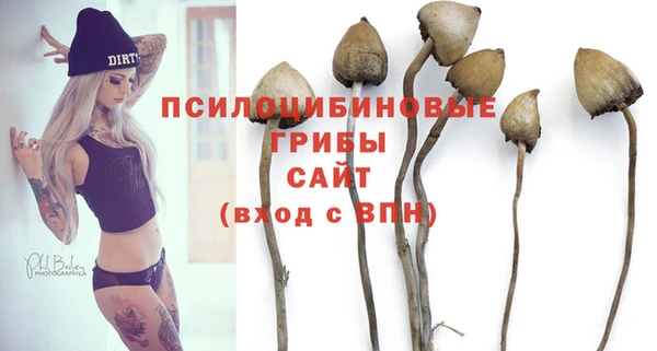 меф Алексин