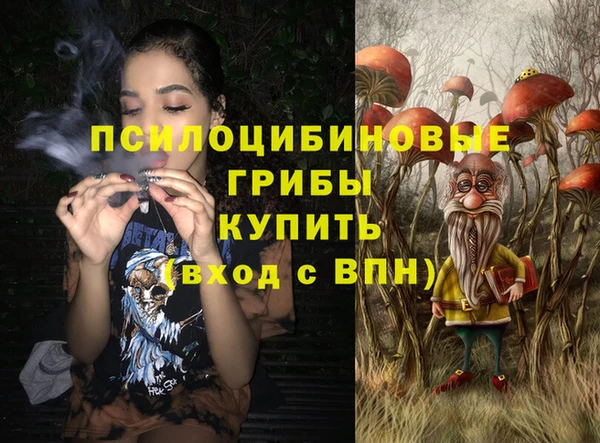 a pvp Абаза