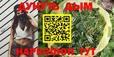 стаф Гагарин