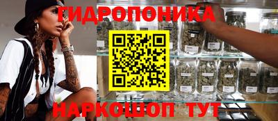 стаф Гагарин