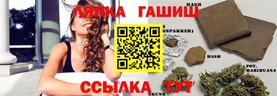 стаф Гагарин