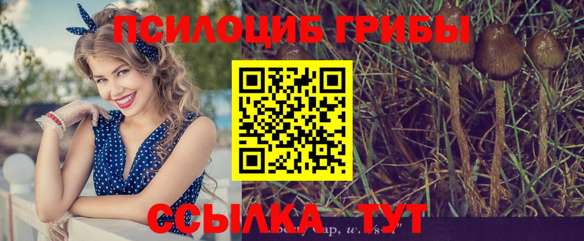 МЕФ  МЕФ кристаллы  Кокаин  A-PVP СК кристаллы  COCAIN  Наркошоп  ГАШ  Кодеин  Муравленко  Вход с VPN  Конопля 
