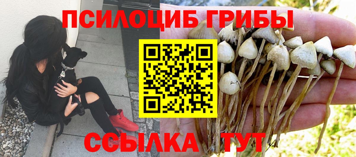 Псилоцибиновые грибы мухоморы Муравленко